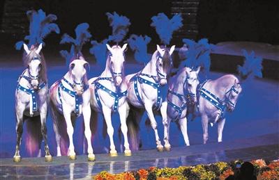 珠海长隆横琴岛剧院即将推出全新大马戏《秘境