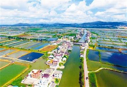 珠海通过新农村建设规划:2020年农业总产值达