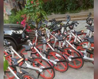 共享单车逼宫上位 珠海公共自行车路在何方?