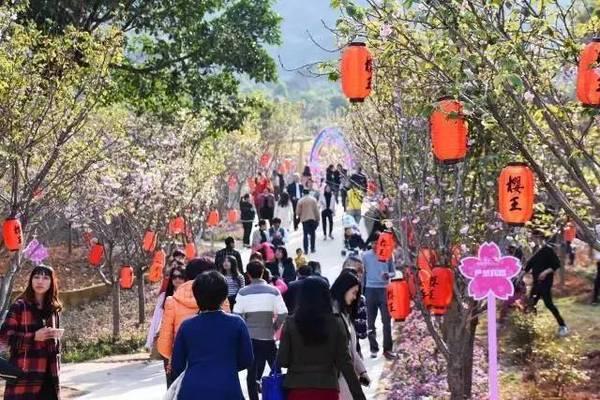 自在斗门 超越精彩春节旅游线路出炉