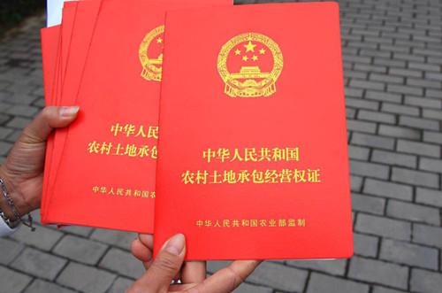 珠首批整村土地承包经营权证书发放 南青村33