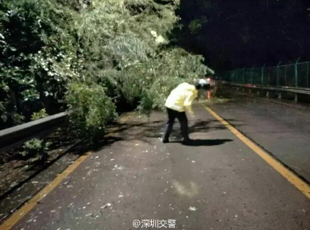 14级台风已在深圳登陆 早上7-9时离珠海最近