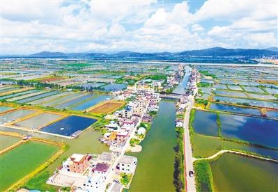 新塘镇沙浦村人口_广州增城市新塘镇沙浦边村一在建工地挡土墙发生大面积坍(2)