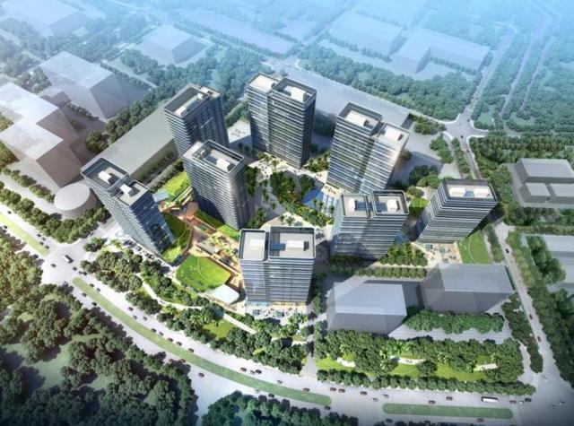 珠海泰禾高端圈层活动 极目港珠澳 赏鉴十字湾