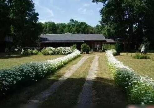 100万人民币在世界各国买到的房子 房奴又要牙