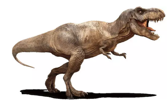 安吉重回侏罗纪世界!大型恐龙展霸道来袭!