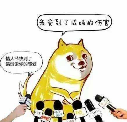 虐狗节的正确打开方式是什么?万嘉告诉你!