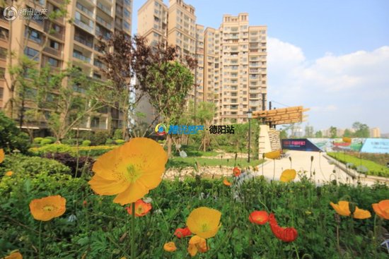 德阳未来中心城区集中向北向东发展 城北这个