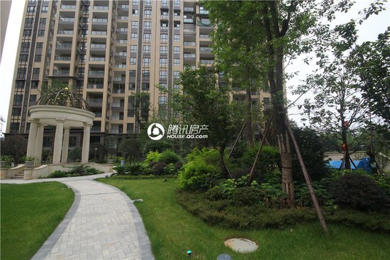 夏日炎炎 到知汇华庭感受一下什么是大树底下