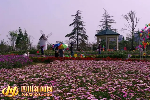 郁金香浓,开启什邡2016花样年华 _频道-德阳
