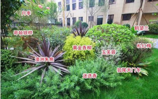 不服来认啊,德阳这个小区的户型景观你出来认得几种?小植物+梳妆台如何设计图图片