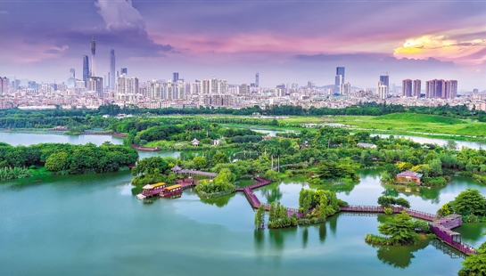广东建成湿地公园95个 允许近距离参与互动体验