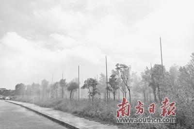東莞空氣質(zhì)量達(dá)標(biāo)率力爭(zhēng)優(yōu)于去年同期