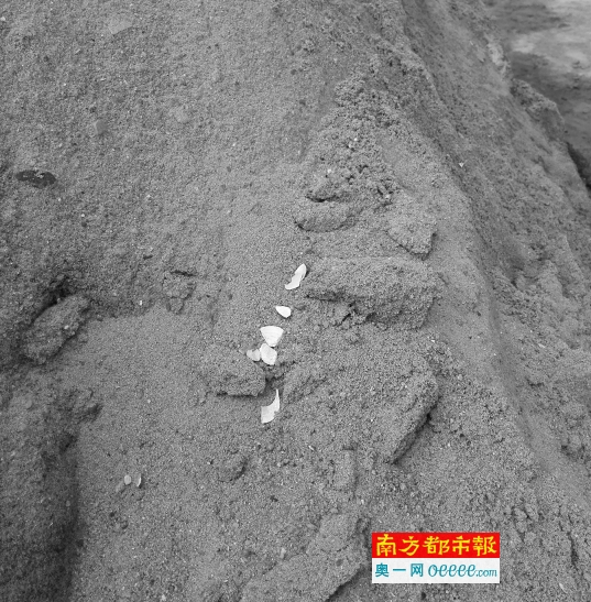 寮步一楼盘疑用海沙遭投诉 城建部门已介入