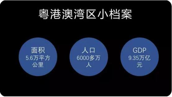 港澳大湾区每平方公里gdp量_湾区说 产业篇丨构建2 2 N体系 惠州产业发展提速