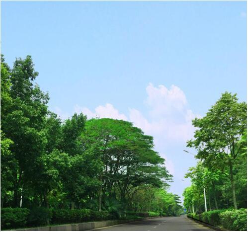 碧桂园映月台:毗邻生态万亩湿地 与自然为伴