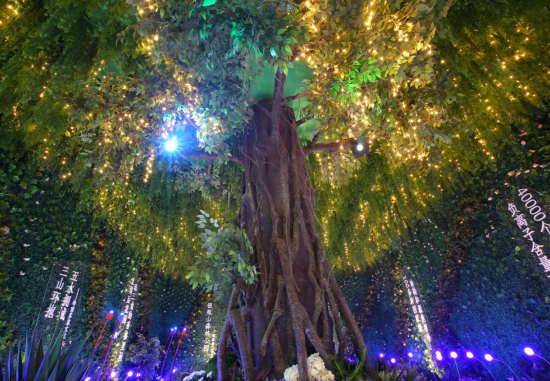 银瓶山森林公园空降清溪碧桂园·天誉