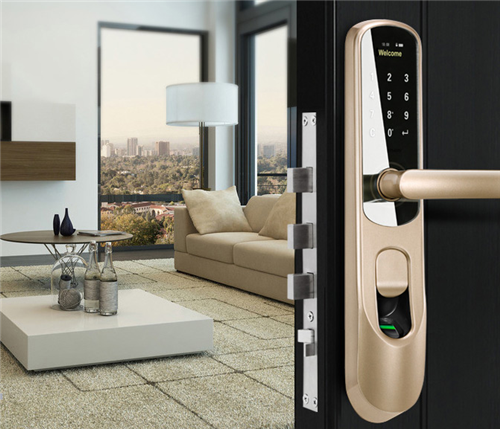 碧桂园城央壹品:入户装甲门