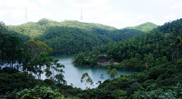 氧森豪宅:临深片区 仅绿茵温莎堡一盘