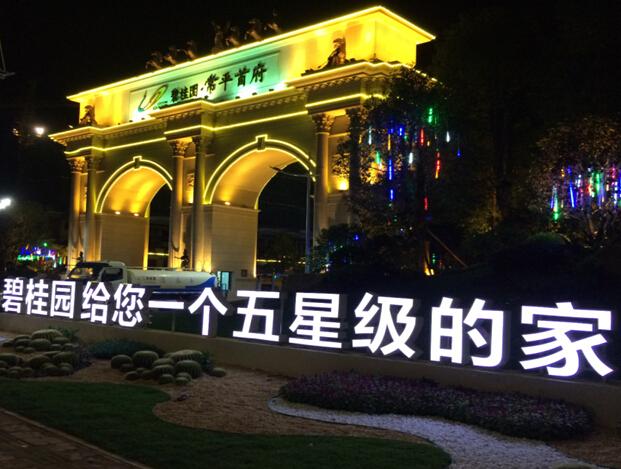 认筹客户过千 碧桂园常平首府打破楼市凛冬