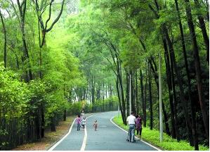 东莞新一轮城市规划寮步变城郊 你还买不买