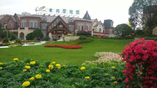 黄冈碧桂园:住进对的房子,是一种什么样的感