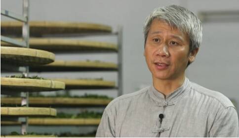 《品质》栏目纪录南山创业:白毛茶的故事