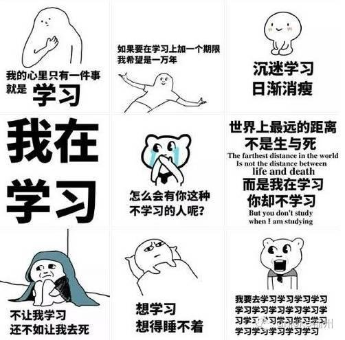 跑男什么梗 10235788.jpg