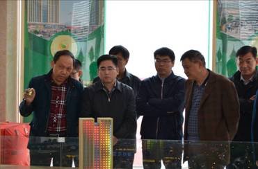 2016开年伊始 石首市市领导莅临湖北湘鄂农贸