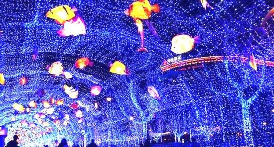 蓝色的灯火和蓝色的海洋 13241177.jpg