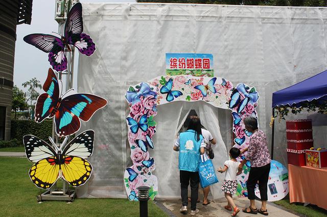 江门市民热捧月珑湾蝴蝶展&98平玲珑板房绽