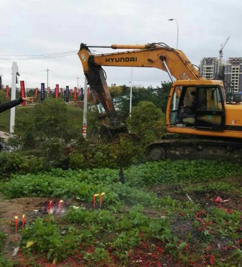 元通公园正式动工 温莎业主成最大受益者_频道