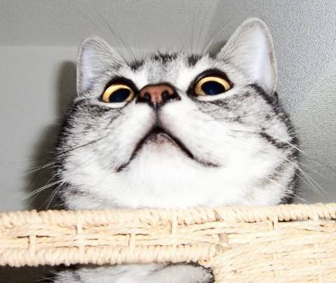 绵阳房价难降,现在能买就买_频道-绵阳