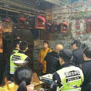 讯·大成网绵阳频道 - 绵阳本地第一生活消费社区