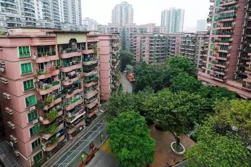 这个小区牛！物业费十年没涨 还赚了五六百万