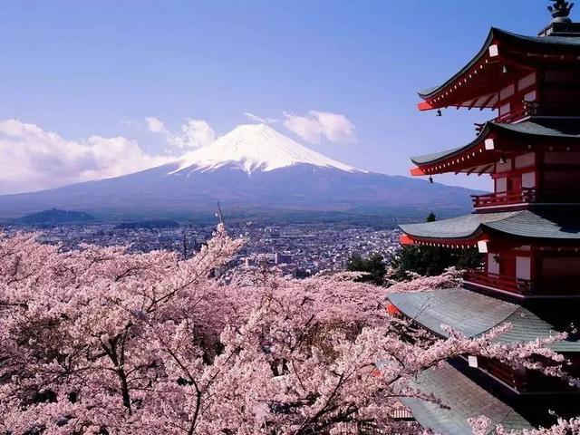 йû㾹Ȼ飿ҶԷĿأ