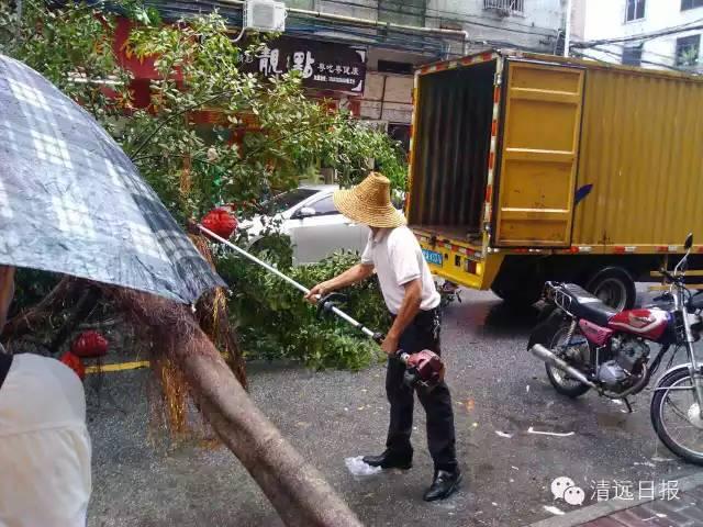 多条高速变 鱼塘 彩虹 给清远带来多大伤害?