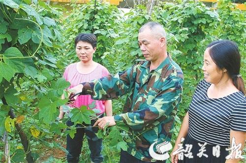 葛塘镇农村人口_农村房子图片(2)