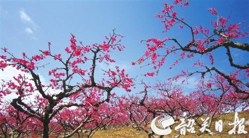 大美翁源精心制作旅游盛宴_韶关地方站