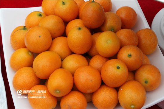 宜宾仁信海马4S店盛大开业