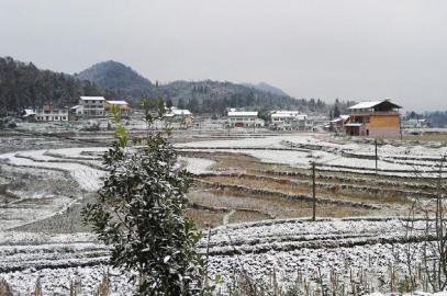 叙永县摩尼镇雪景 王宏 摄