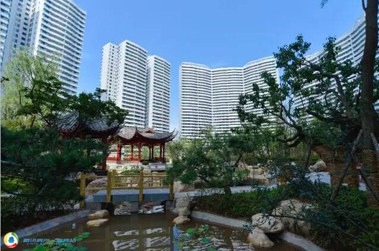 丽雅最懂我:打造和谐幸福新家园