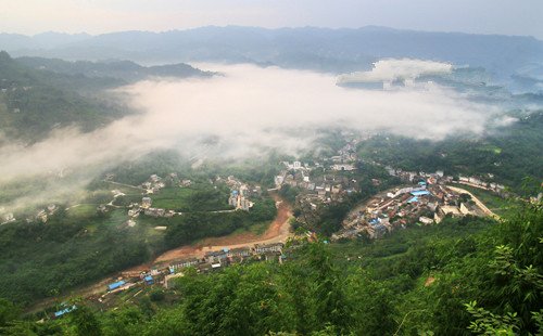 宜宾:生态屏山环境好 引大熊猫安家_频道-宜宾