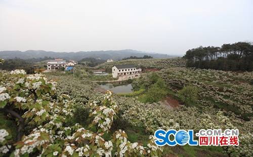 长宁成首批四川乡村旅游强县_频道-宜宾