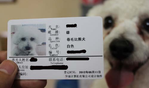 养狗办狗证需要多少钱,都需要办什么手续?