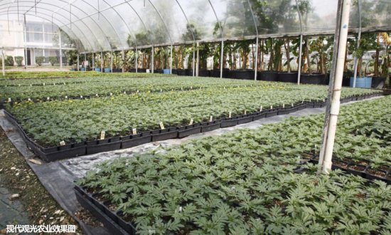 置信19年,银川再出发_频道-银川