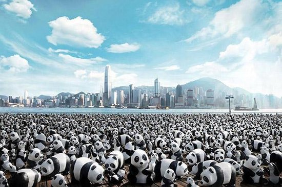 西北首界·超萌动漫熊猫展震撼登陆石嘴山恒大