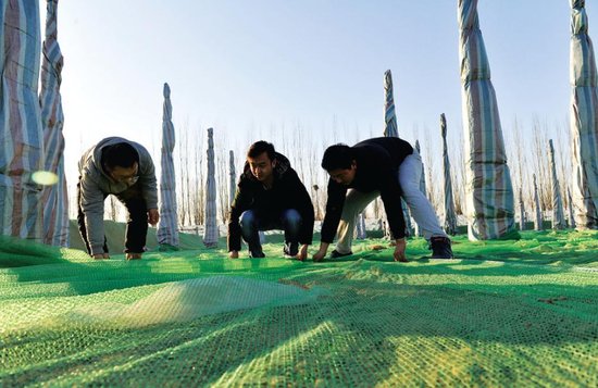 蓝天工程在行动,碧桂园打造高标准无尘工地图片