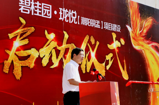 潮阳各镇经济总量_潮阳站