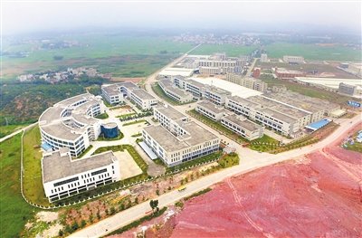 廉江市2020年GDP_廉江市地图